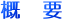 概 要